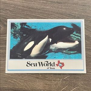Vintage 1988 Sea World of Texas Postcard-Kandu & Baby Shamu